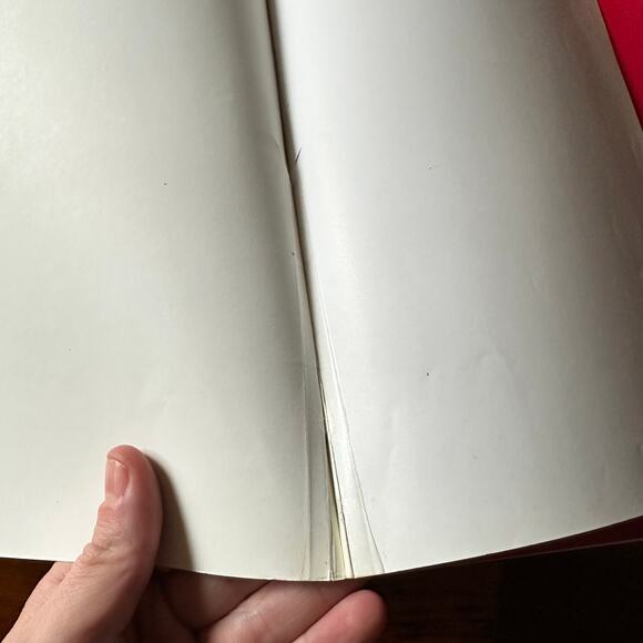 Vintage 1997 Max Found Two Sticks Paperback Book - Picture 2 of 10